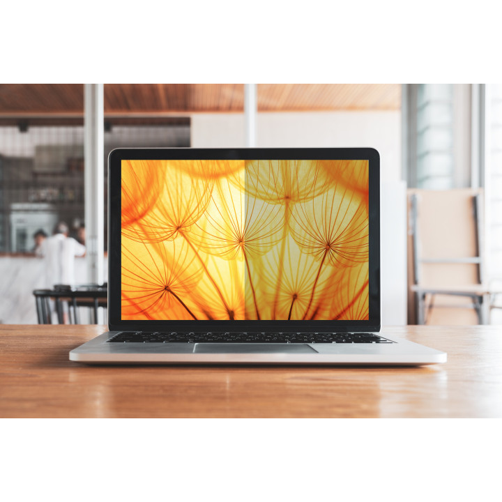 3M Filtre de confidentialité de l'écran lumineux pour Microsoft® Surface® Pro 4, 5, 6, 7 12.3 po (312 mm), 3:2, BPTMS001