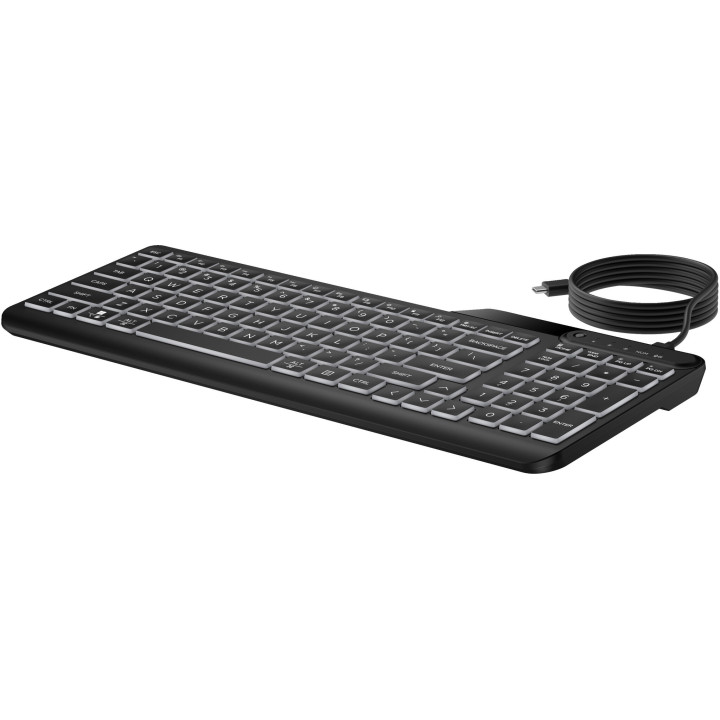 HP STORE 3PL clavier Bureau USB Noir