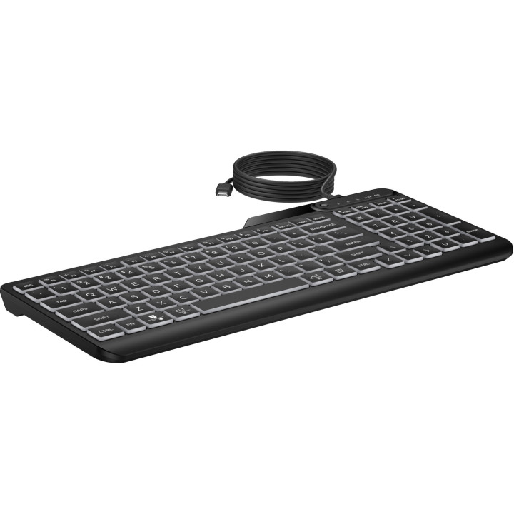 HP STORE 3PL clavier Bureau USB Noir