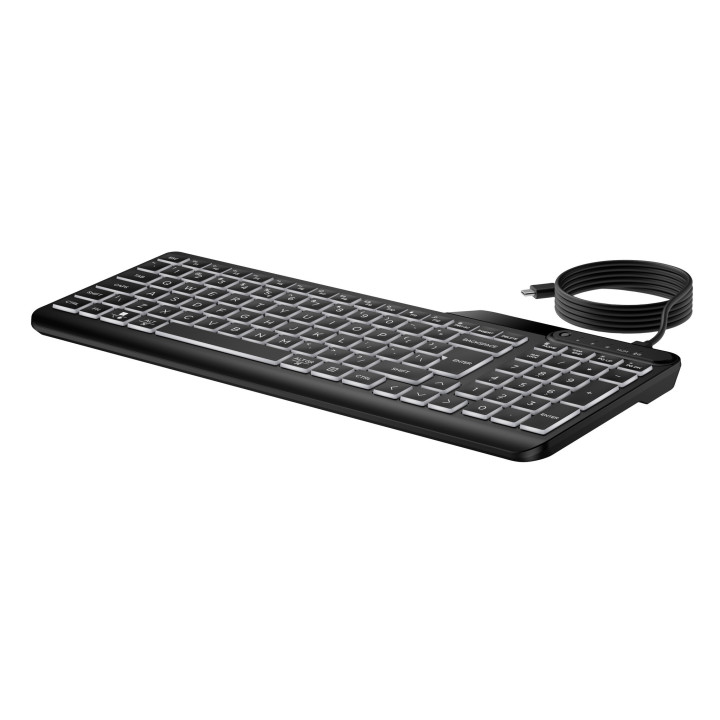 HP STORE 3PL clavier Bureau USB Noir