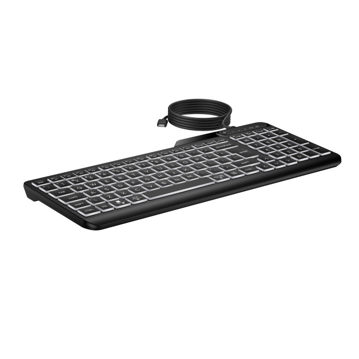 HP STORE 3PL clavier Bureau USB Noir