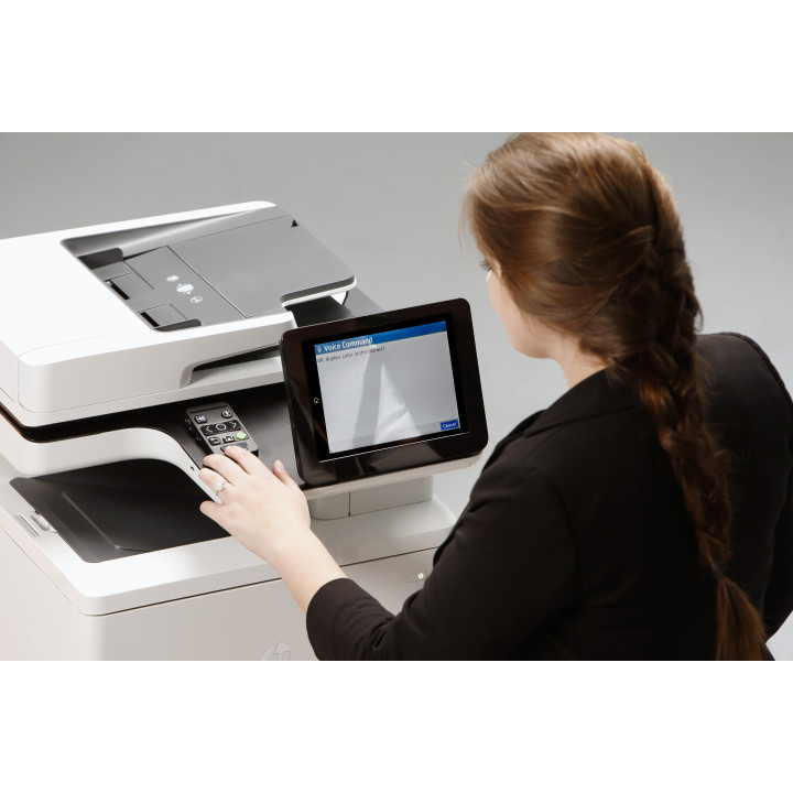 HP Accessibility Assistant