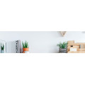 AOC B2 22B2H/EU écran plat de PC 54,6 cm (21.5") 1920 x 1080 pixels Full HD LED Noir