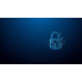 Kingston Technology IronKey 512 Go D500S FIPS 140-3 Lvl 3 AES-256