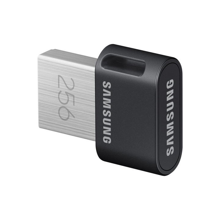 Samsung MUF-256AB lecteur USB flash 256 Go USB Type-A 3.2 Gen 1 (3.1 Gen 1) Gris, Argent
