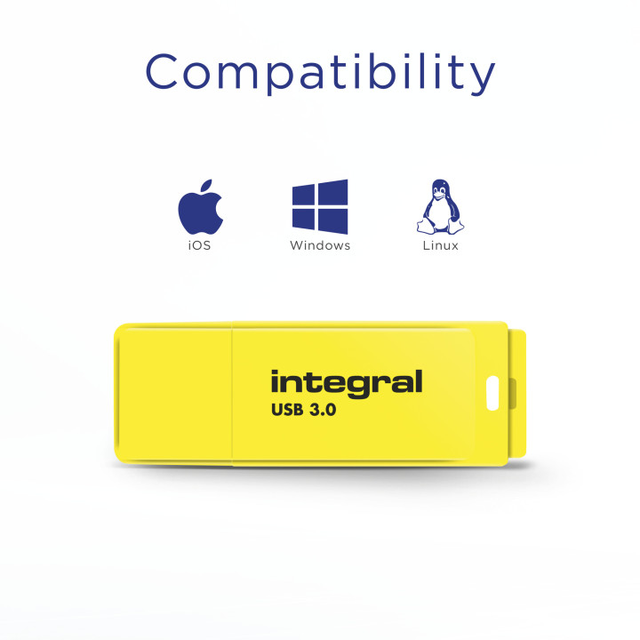 Integral INFD64GBNEONYL3.0 lecteur USB flash 64 Go 3.2 Gen 1 (3.1 Gen 1)