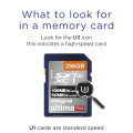 Integral INSDX256G-100/90V30 mémoire flash 256 Go SD UHS-I