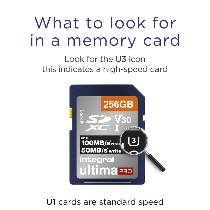 Integral INSDX256G-100/90V30 mémoire flash 256 Go SD UHS-I