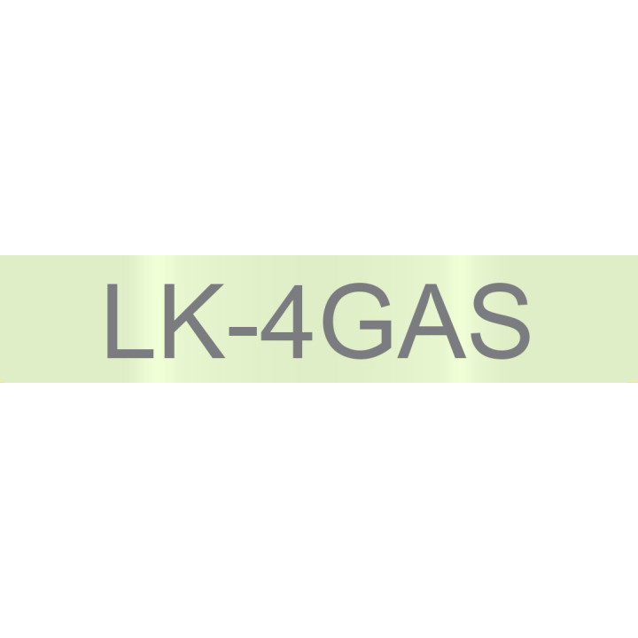 Epson LK-4GAS Gris, Vert clair