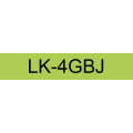 Epson LK-4GBJ Noir, Vert