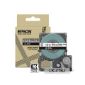 Epson C53S672065 étiquette à imprimer Noir, Transparent