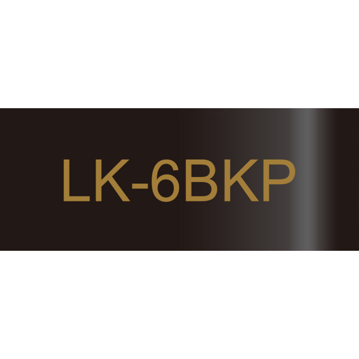 Epson LK-6BKP Noir, Or