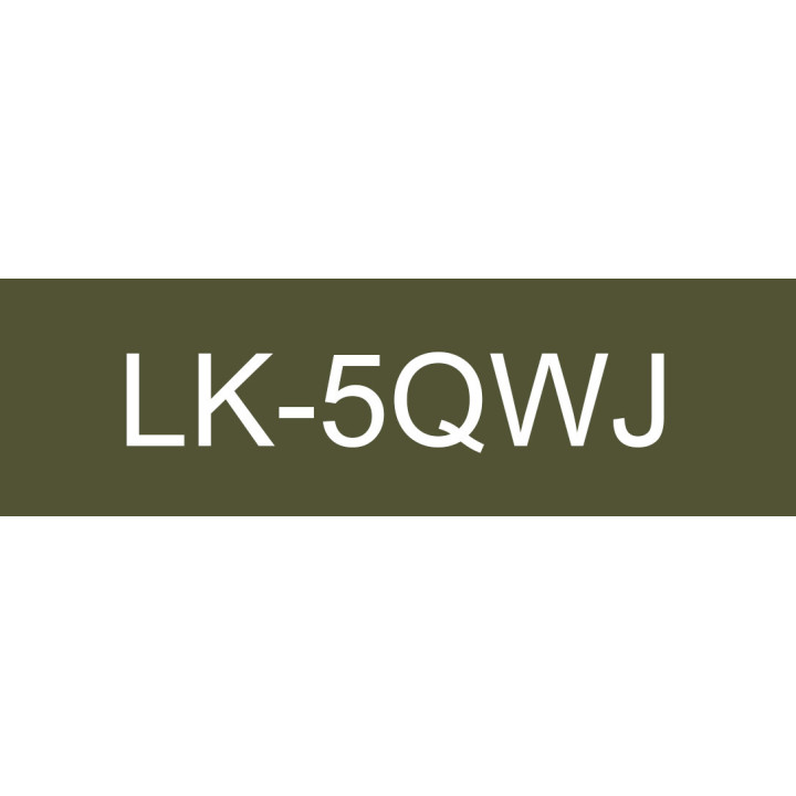 Epson LK-5QWJ Kaki, Blanc