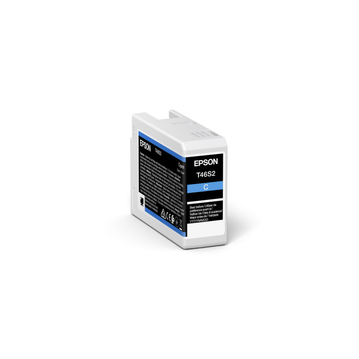 Epson UltraChrome Pro cartouche d'encre 1 pièce(s) Original Rendement standard Cyan