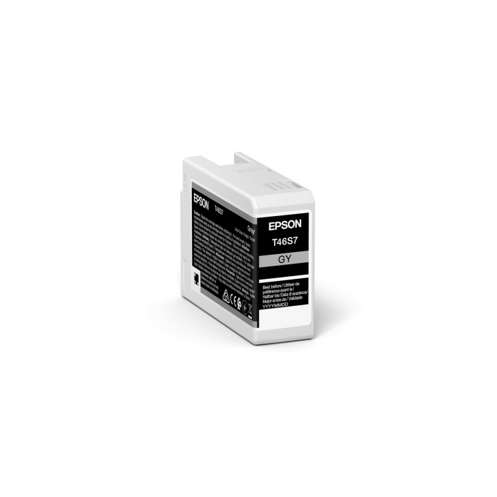 Epson UltraChrome Pro cartouche d'encre 1 pièce(s) Original Rendement standard Gris