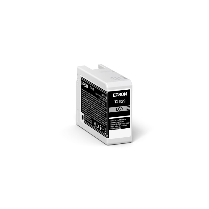 Epson UltraChrome Pro cartouche d'encre 1 pièce(s) Original Rendement standard Gris