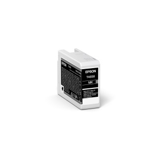 Epson UltraChrome Pro10 cartouche d'encre 1 pièce(s) Original Rendement standard Noir