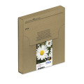 Epson Daisy Encre EasyMail Claria Home multipack 4 couleurs Pâquerette 18