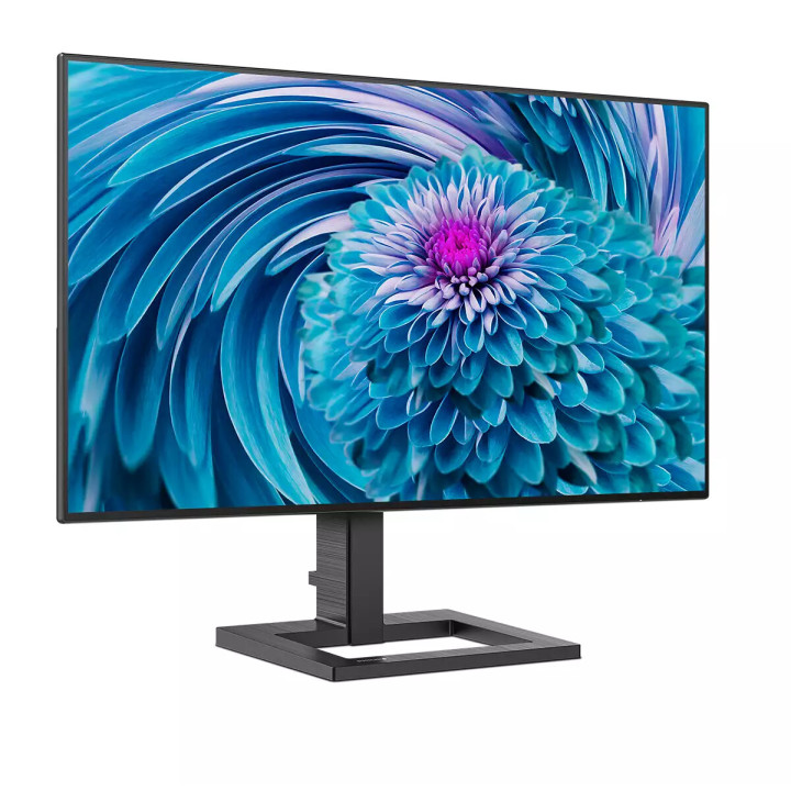 Philips E Line 241E2FD/00 écran plat de PC 60,5 cm (23.8") 1920 x 1080 pixels Full HD LED Noir