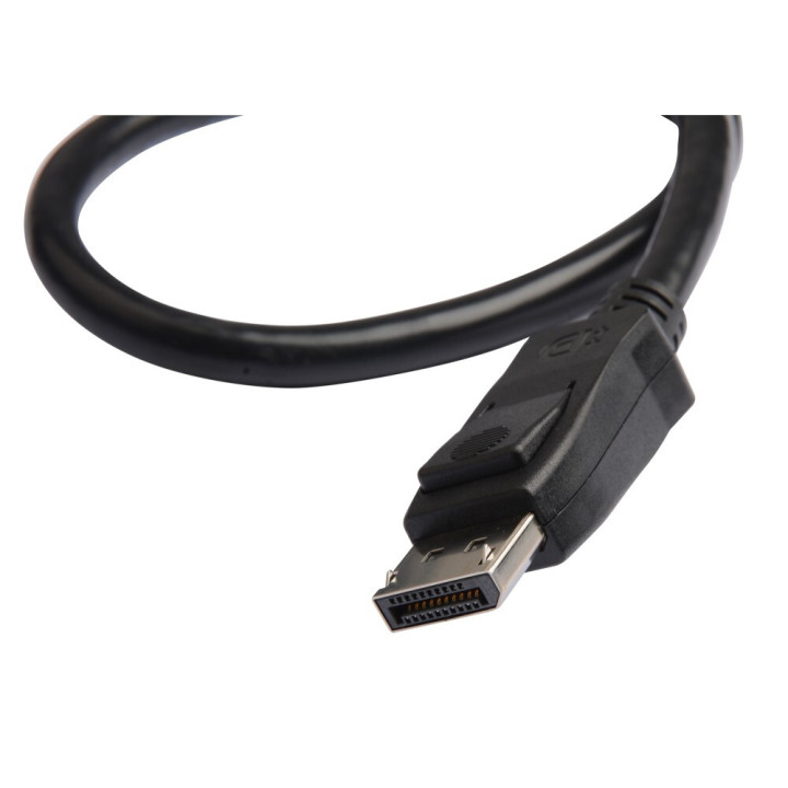 Techly ICOC DSP-A14-005 câble DisplayPort 0,5 m Noir