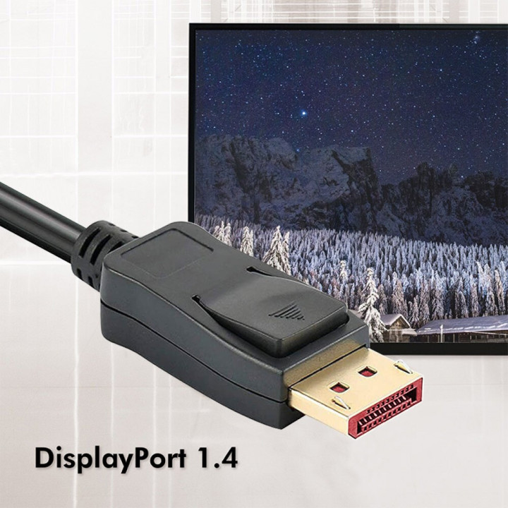 Techly ICOC DSP-A14-050NT câble DisplayPort 5 m Noir