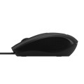 Acer HP.EXPBG.008 souris Maison Ambidextre USB Type-A Optique 1200 DPI