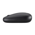 Acer Wireless Bubble Mouse - AMR100 Black (Retail pack) souris Universel Ambidextre RF sans fil Optique 1600 DPI