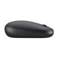 Acer Wireless Bubble Mouse - AMR100 Black (Retail pack) souris Universel Ambidextre RF sans fil Optique 1600 DPI