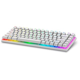 Alienware Pro Wireless Gaming Keyboard clavier USB + RF Wireless + Bluetooth Blanc