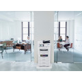 Epson WorkForce Pro EM-C8101RDWF