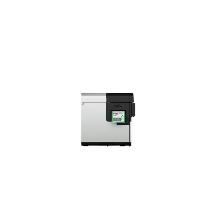 Epson ColorWorks C8000e (MK)