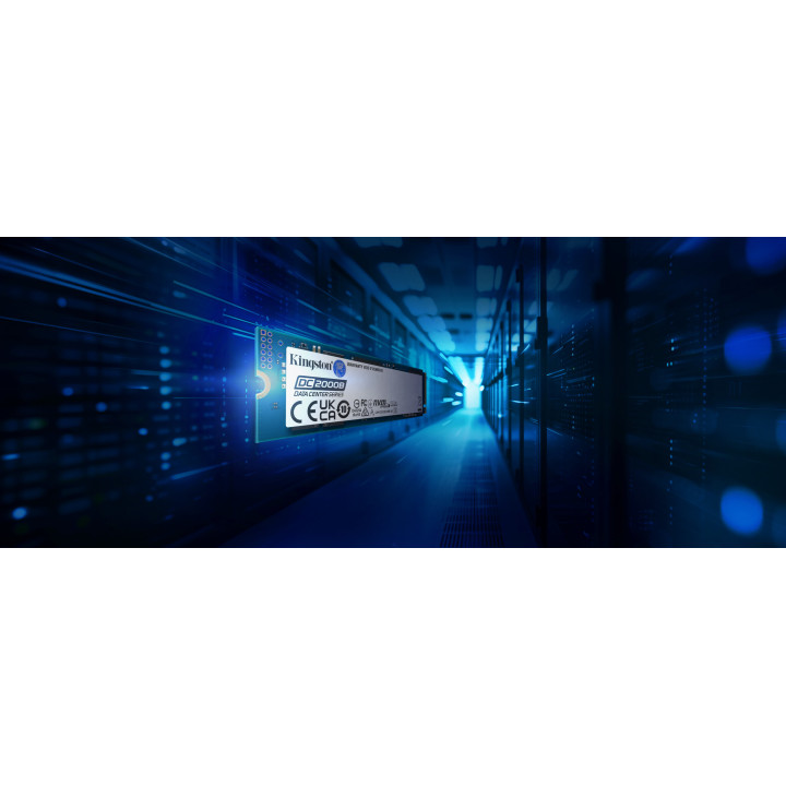 Kingston Technology 480G DC2000B PCIe 4.0 M.2 2280 Enterprise SSD