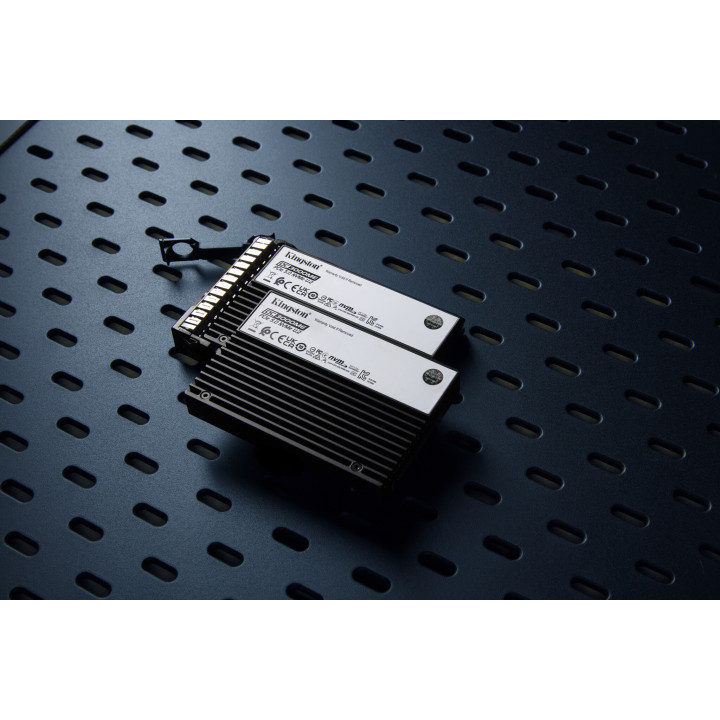 Kingston Technology 3,84TB DC3000ME U.2 PCIe 5.0 NVMe TCG Opal Enterprise SSD