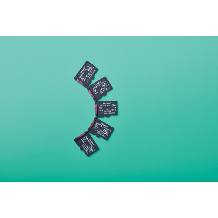 Kingston Technology 256GB micSDXC Canvas Select Plus Gen3 150R A1 (Adaptateur SD non inclus)