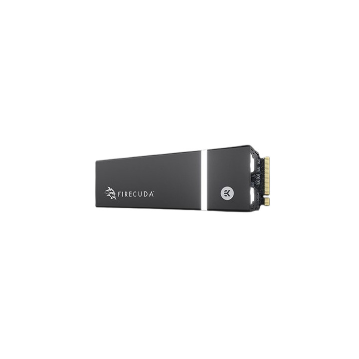 Seagate ZP1000GM3A014 disque SSD M.2 1 To PCI Express