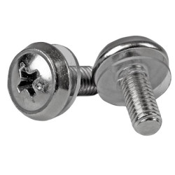 StarTech.com Lot de 100 Vis M5 de 12mm, Vis de Fixation pour Baies de Serveurs de 19" ou 10", Armoires et Boîtiers, Argent, TA