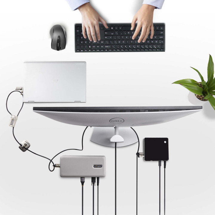 StarTech.com Kit de Verrouillage pour Ordinateur Portable/de Bureau et Périphériques, Verrou/Serrure Antivol, K-Slot, Câble 
