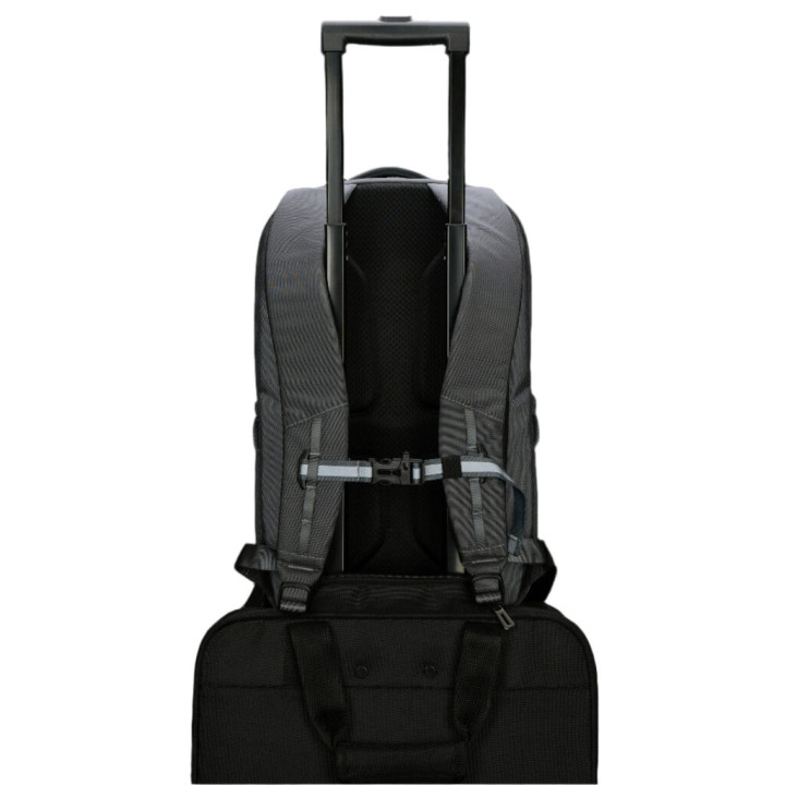 Targus TBB65802GL sacoche d'ordinateurs portables 40,6 cm (16") Sac à dos Gris