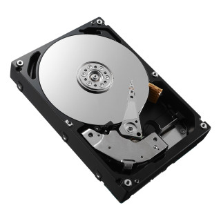 DELL 161-BBRX disque dur 8 To 7200 tr/min 3.5" SAS