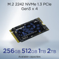 Integral INSSD256GM2242G3 disque SSD 256 Go M.2 PCI Express 3.0 NVMe TLC