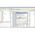 Schneider Electric StruxureWare Data Center Expert Standard