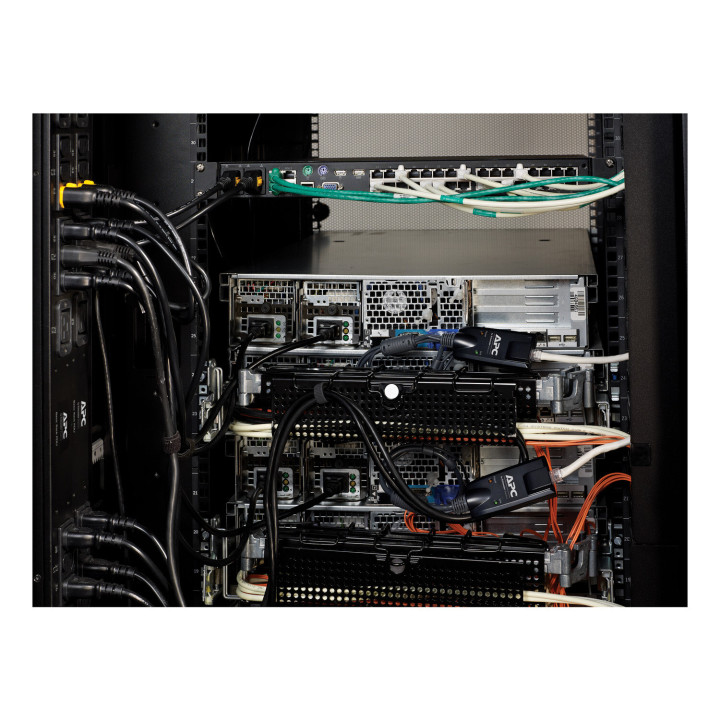 APC KVM 2G , module serveur, PS/2 avec support virtuel