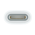 Apple USB-C to Pencil Adapter Blanc 1 pièce(s)