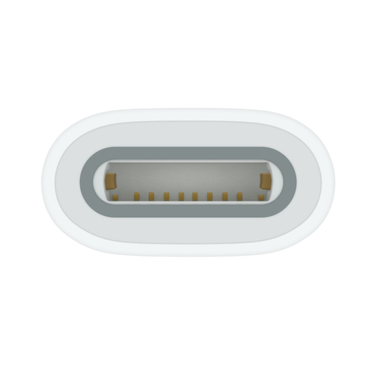 Apple USB-C to Pencil Adapter Blanc 1 pièce(s)