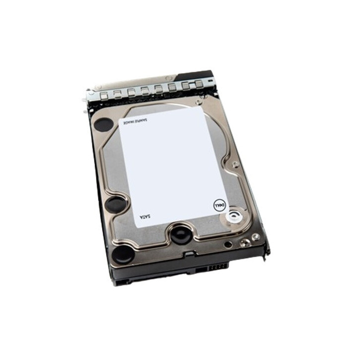 DELL 400-BLNW disque dur 4 To 7200 tr/min 3.5" SATA