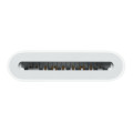 Apple MW653ZM/A lecteur de carte mémoire USB 2.0 Type-C Blanc