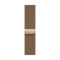 Apple MC7K4ZM/A accessoire intelligent à porter sur soi Bande Or Acier inoxydable