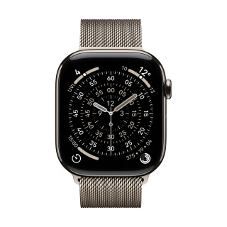 Apple MGJ24ZM/A Bande Naturel Acier inoxydable