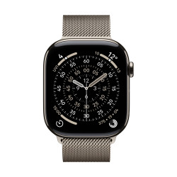 Apple MGJ24ZM/A Bande Naturel Acier inoxydable