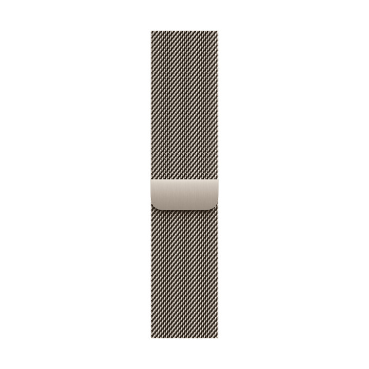 Apple MGJ24ZM/A Bande Naturel Acier inoxydable